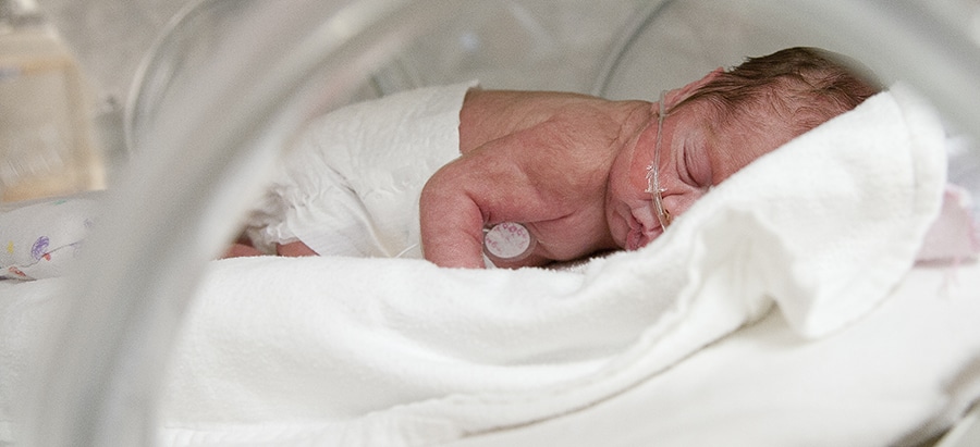 Baby in the NICU sleeping peacefully.