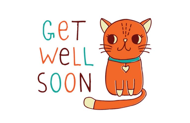 Drawing of an orange cat with get well soon handwritten in blue, orange and brown letters.