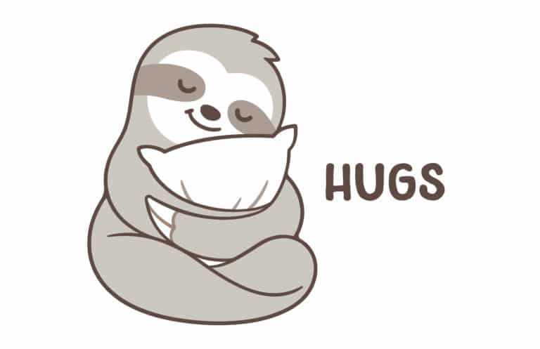 Cute cartoon of a gray and white sloth hugging a pillow with the word 