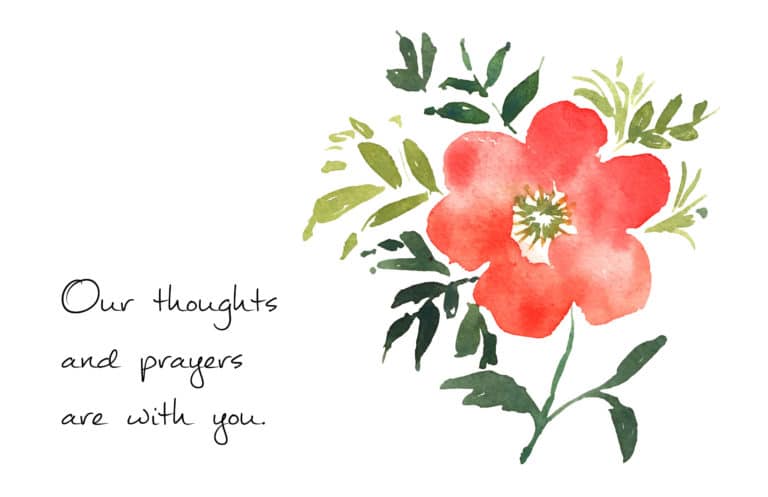 Watercolor of a red rose and green leaves with Our thoughts and prayers are with you in a casual script.